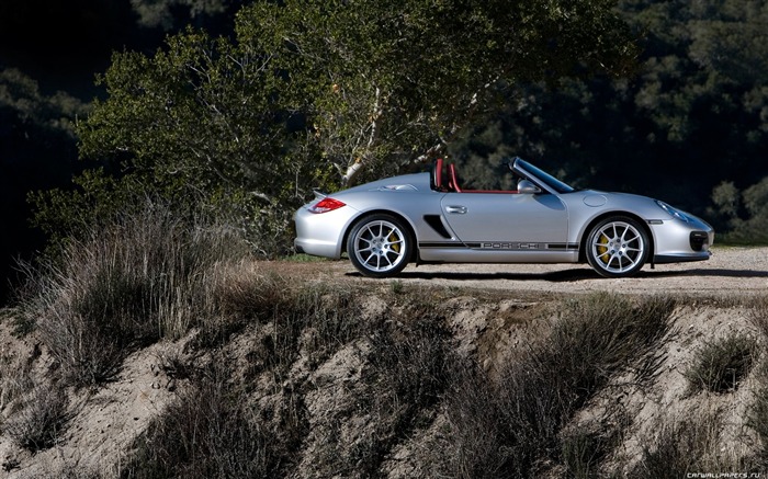 포르쉐 Boxster 스파이더 - 2010의 HD 벽지 #48