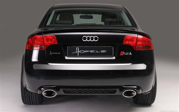 Hofele Audi A4 B6 B7 奧迪 #5