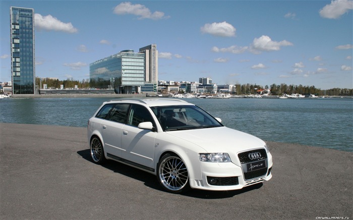 Audi A4 B6 Hofele B7 fond d'écran HD #15