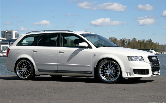 Hofele Audi A4 B6 B7 HD tapetu #16