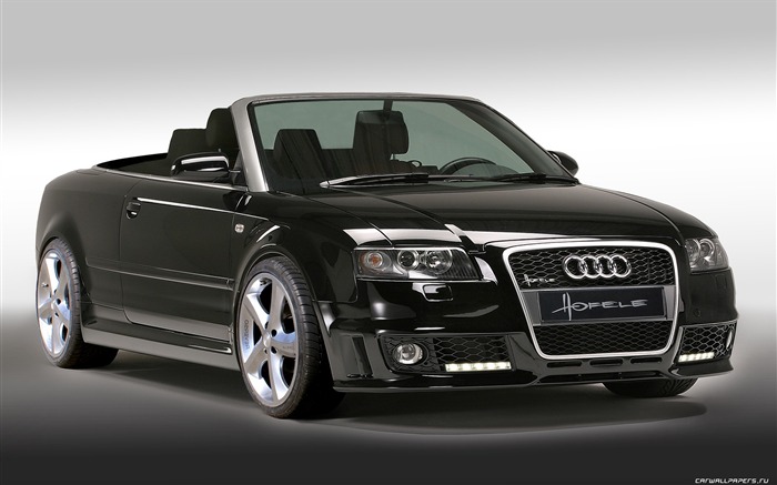 Hofele Audi A3 S3 8PA A4 B6 Cabrio A5 B8 Coupe 奧迪 #13