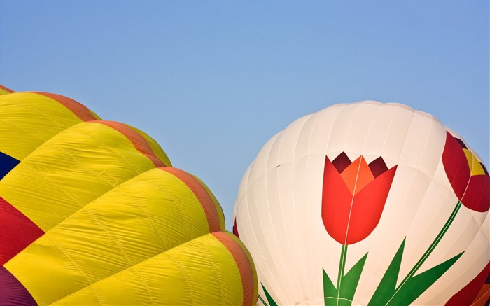 Bunte Heißluftballons Tapete (1) #17