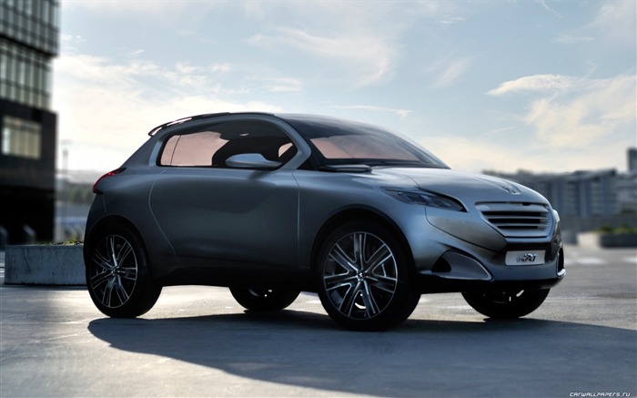 Concept Car Peugeot HR1 - 2010 标志12