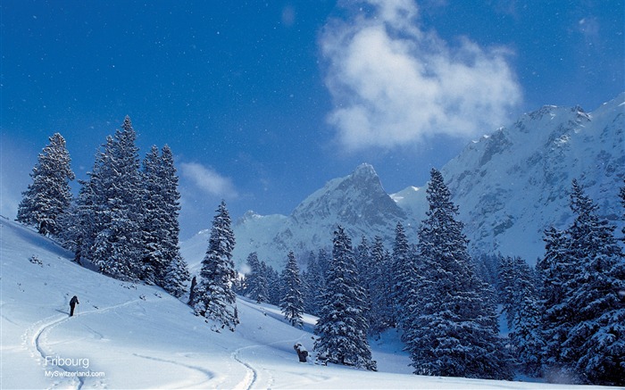 Schweizer Winter Schnee Tapete #9