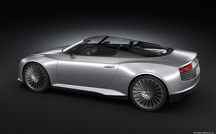 Concept Car Audi e-tron Spyder - 2010 奥迪2