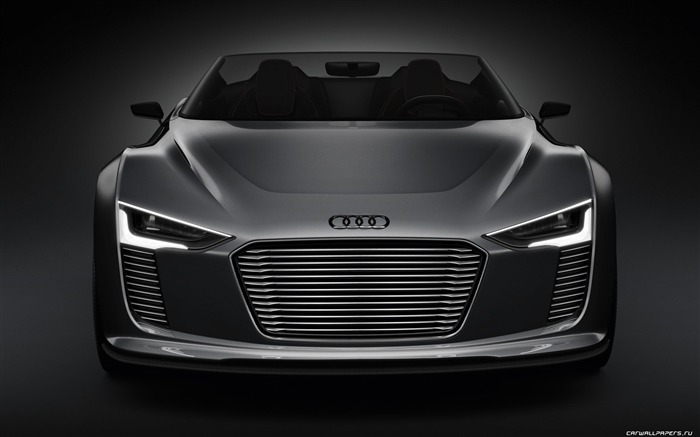 Concept Car Audi e-tron Spyder - 2010 奧迪 #8