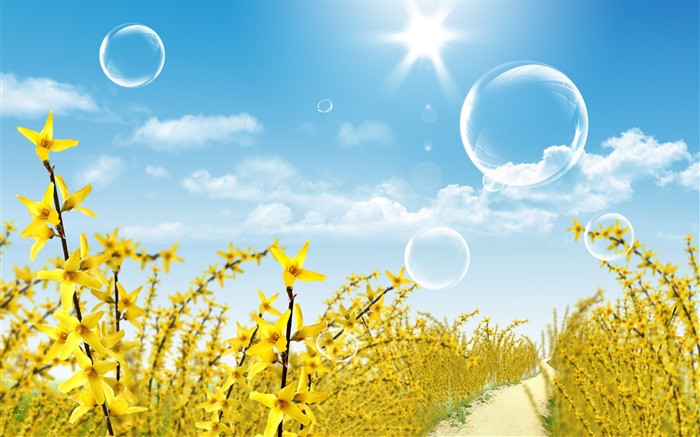 Photoshop sunny summer landscape wallpaper (1) #14