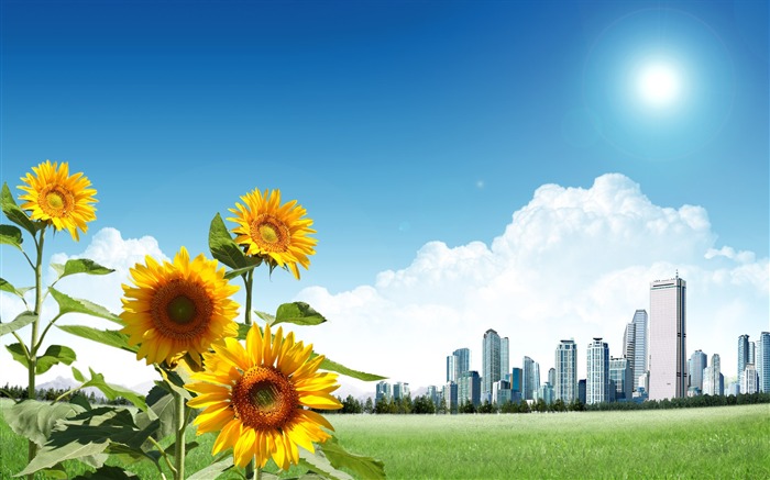 Photoshop sonnigen Sommertag Landschaft Wallpaper (1) #16