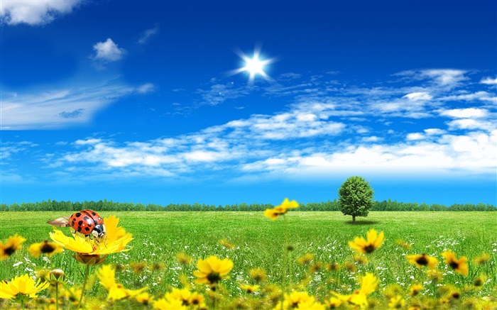 Photoshopの日当たりの良い夏の風景の壁紙 (2) #8