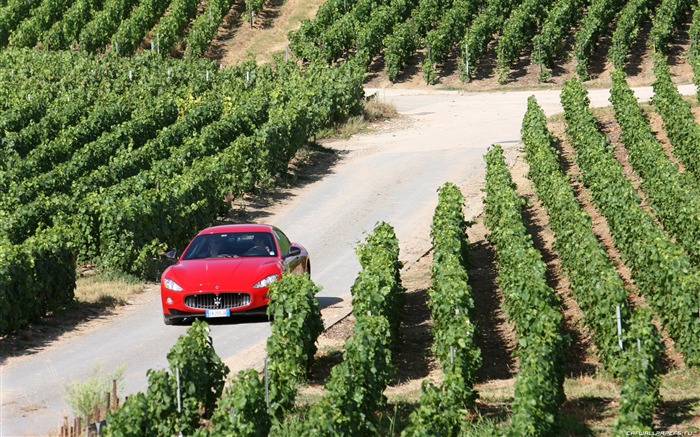 Maserati GranTurismo - 2010 fonds d'écran HD #25