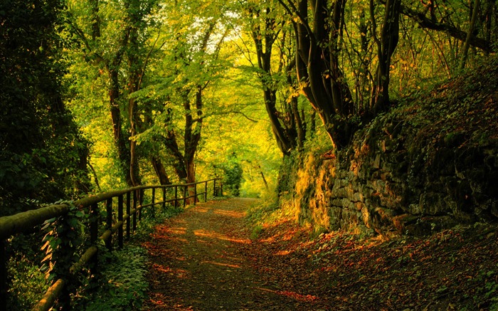 Nueva Zelanda Naturaleza Fondos (1) #6