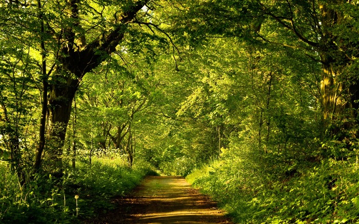 Nueva Zelanda Naturaleza Fondos (1) #20