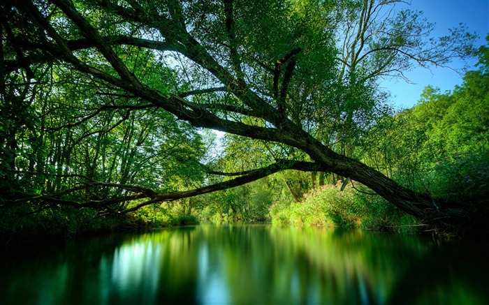 Fond d'écran Nature-Zélande (2) #1