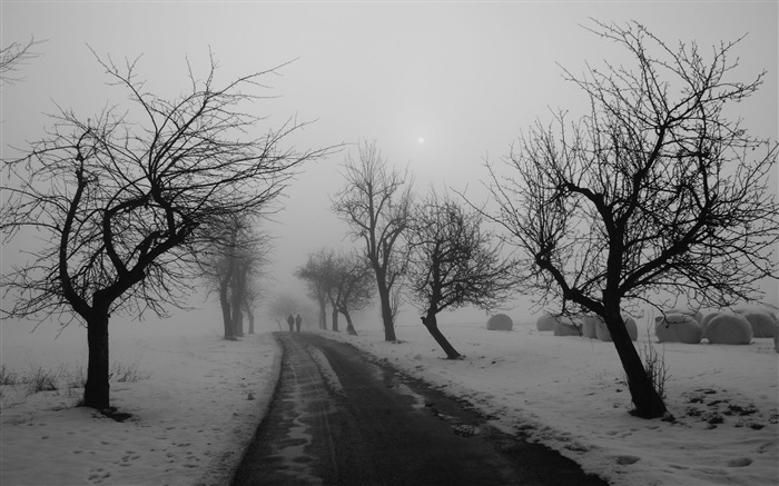 Dark fond d'écran paysage de couleur (2) #19