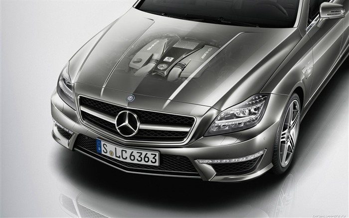 Mercedes-Benz CLS63 AMG - 2010 奔驰9