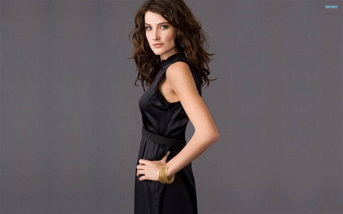 Cobie Smulders krásnou tapetu #12