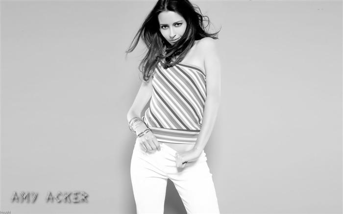 Amy Acker hermoso fondo de pantalla #9