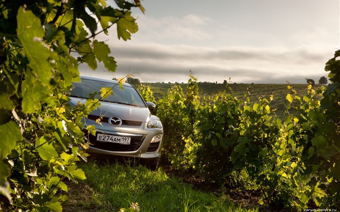 Mazda CX-7 - 2010 HD wallpaper #48