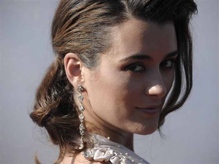 Cote de Pablo krásnou tapetu #10