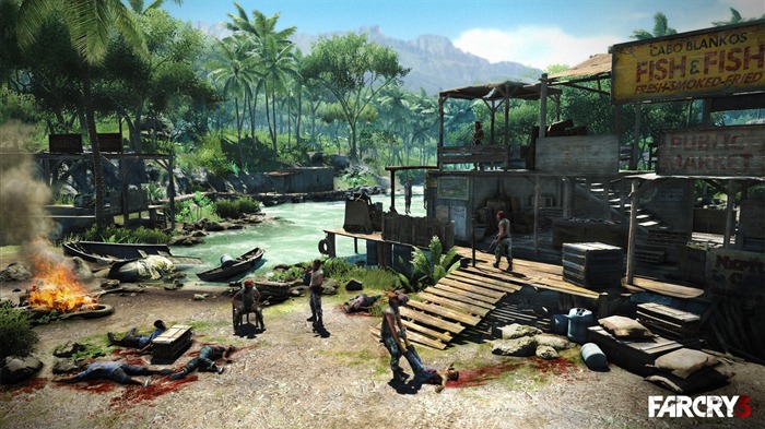 Far Cry 3 HD Wallpaper #1