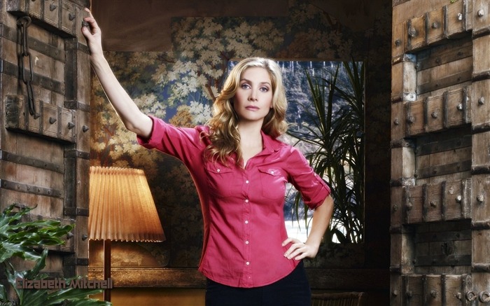 Elizabeth Mitchell schöne Tapete #6