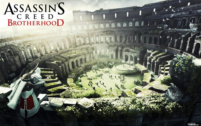 Assassins Creed: La Hermandad HD fondos de pantalla #13