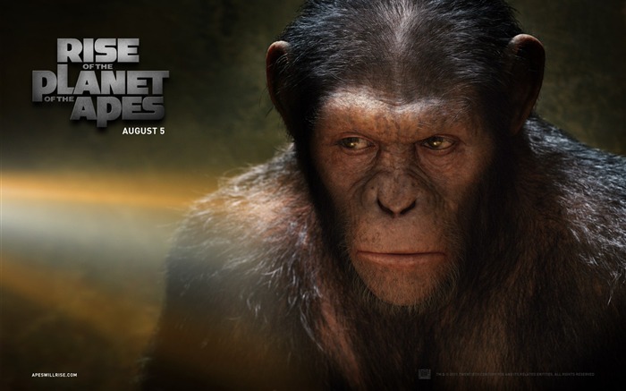 Rise of the Planet of the Apes 猿族崛起壁紙專輯 #1