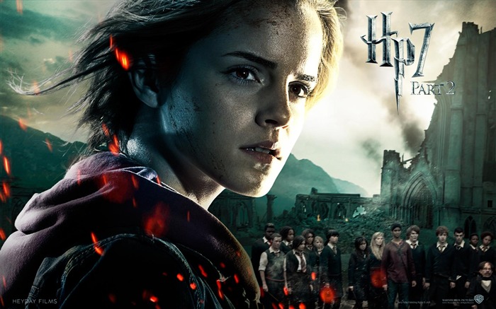 Harry Potter and the Deathly Hallows 哈利·波特與死亡聖器 高清壁紙 #12