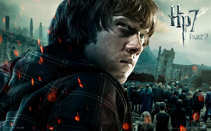 2011 Harry Potter a Relikvie smrti HD tapety na plochu #14