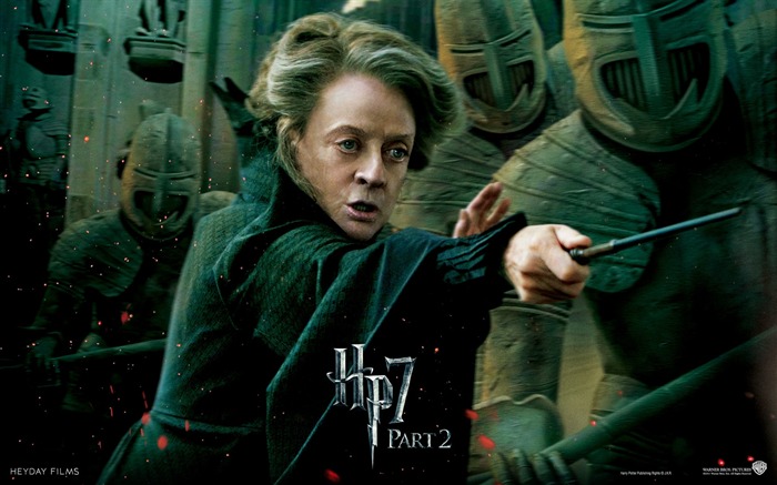 Harry Potter and the Deathly Hallows 哈利·波特與死亡聖器 高清壁紙 #24