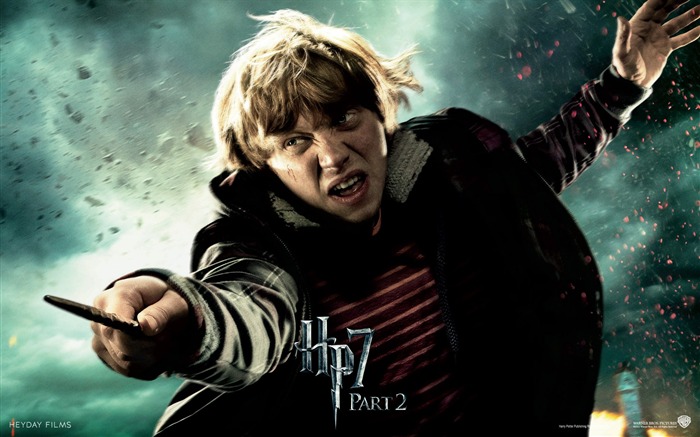 2011 Harry Potter and the Deathly Hallows HD wallpapers #26