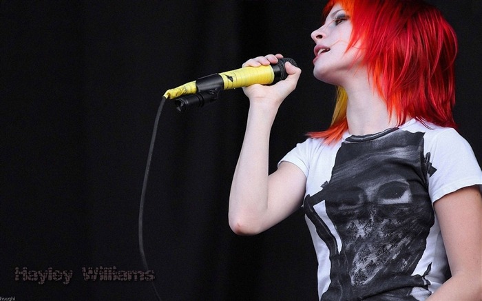 Hayley Williams 海莉·威廉姆斯 美女壁纸7