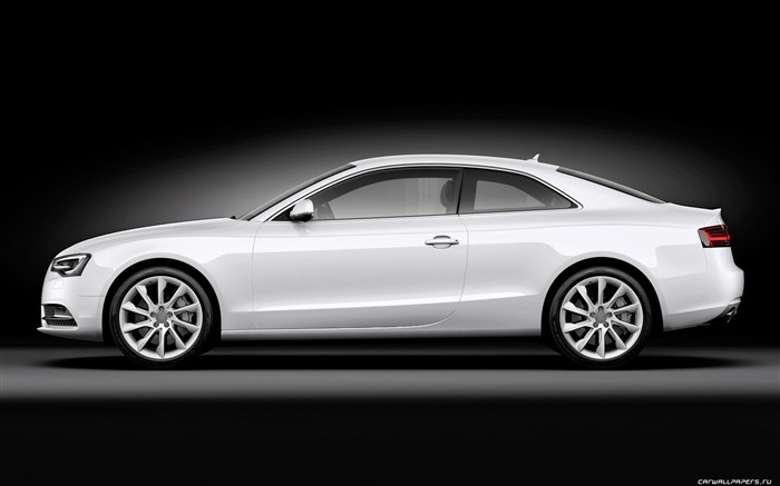 Audi A5 Coupe - 2011 奧迪 #12