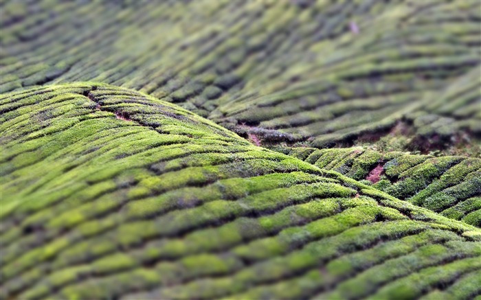 Real de fondo de pantalla del enemigo fotografía en miniatura del paisaje cambio (3) #20