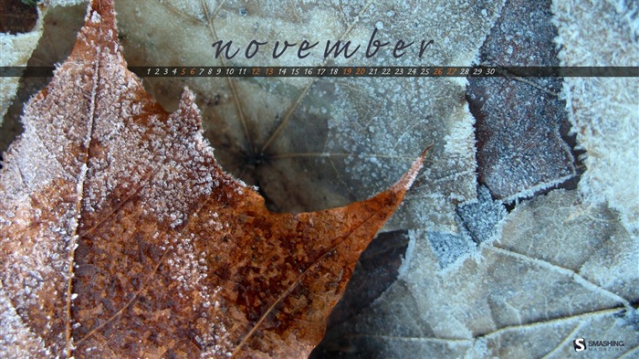 November 2011 Calendar wallpaper (2) #14