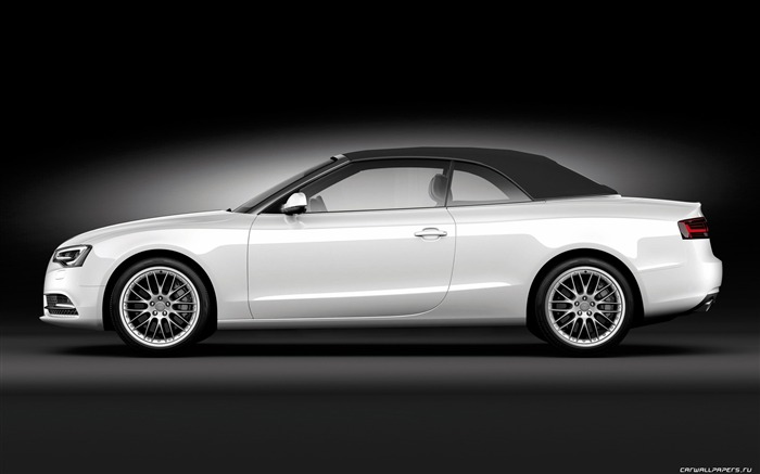 Audi A5 Cabriolet - 2011 奥迪14