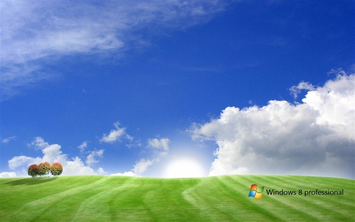 Windows 8 Theme Wallpaper (1) #2