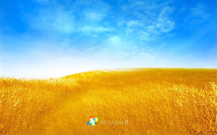 Windows 8 téma tapetu (2) #16