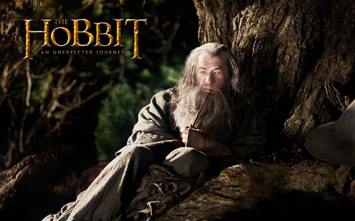 The Hobbit: An Unexpected Journey 霍比特人：意外旅程 #10