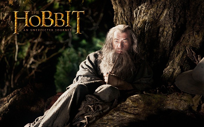 The Hobbit: Un voyage inattendu wallpapers HD #10