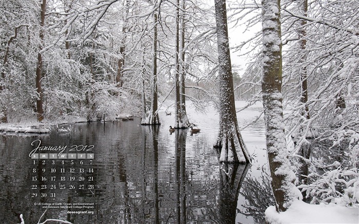 Janvier 2012 Fonds d'écran Calendrier #2