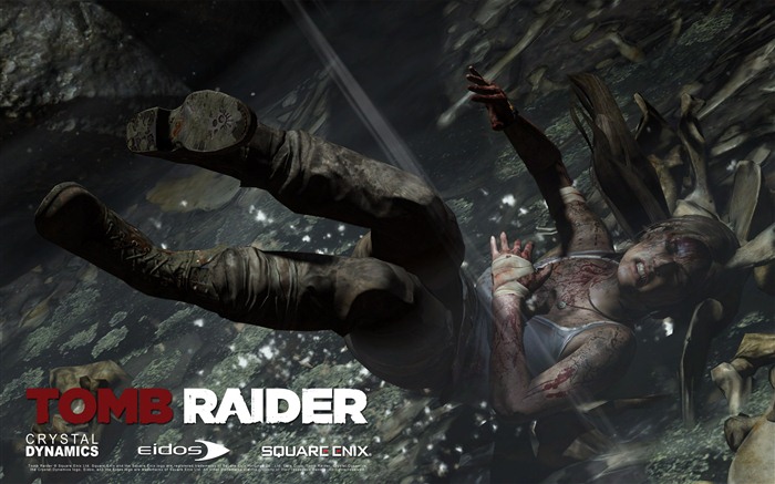 Tomb Raider 9 fonds d'écran HD #4