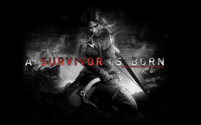 Tomb Raider 9 fondos de pantalla HD #8