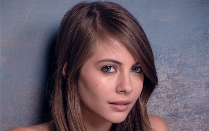 Willa Holland krásnou tapetu #7