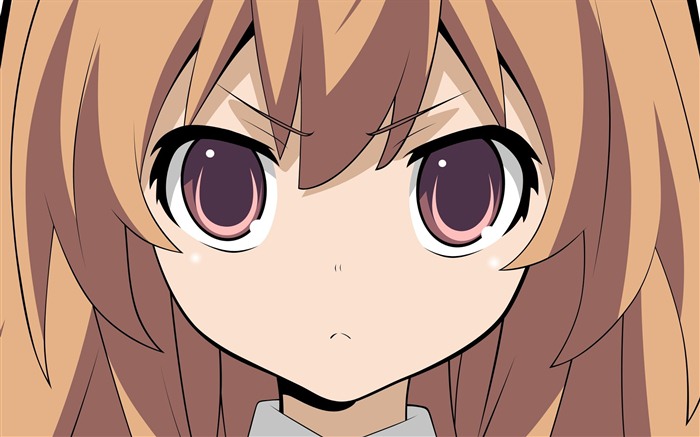 Toradora 龍與虎 高清壁紙 #37