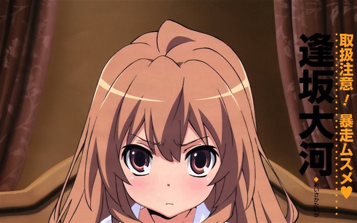 Toradora 龙与虎 高清壁纸2