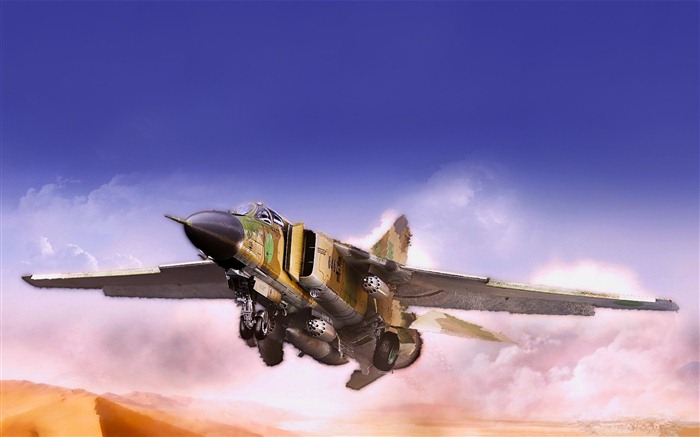 Military fighter HD widescreen wallpapers #11