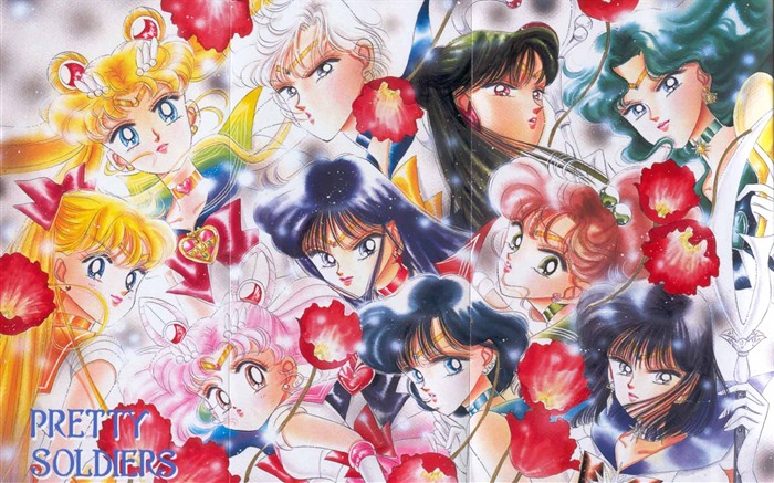 Sailor Moon HD tapety na plochu #10