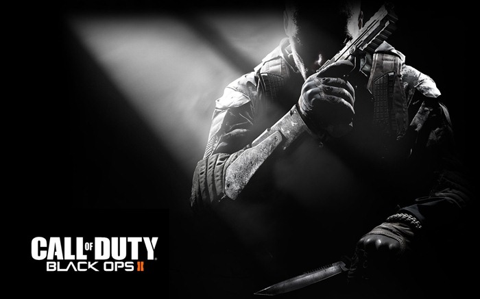Call of Duty: Black Ops 2 使命召唤9：黑色行动2 高清壁纸11