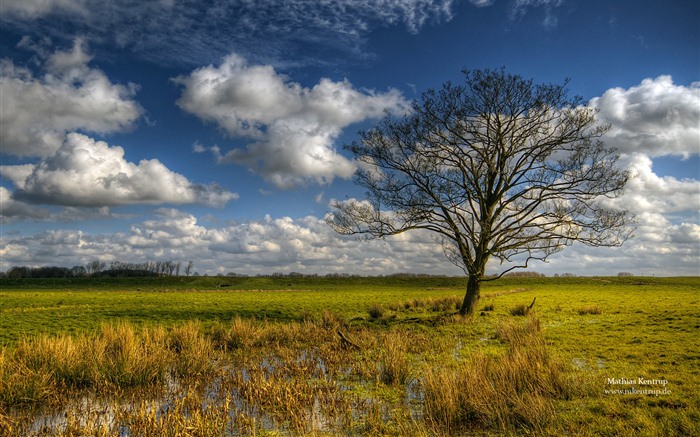 Windows 7 Wallpapers: Impressionen aus Schleswig-Holstein Thema #5